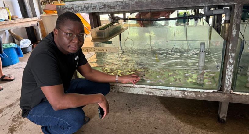 Hatchery management and fingerling production in Malawi