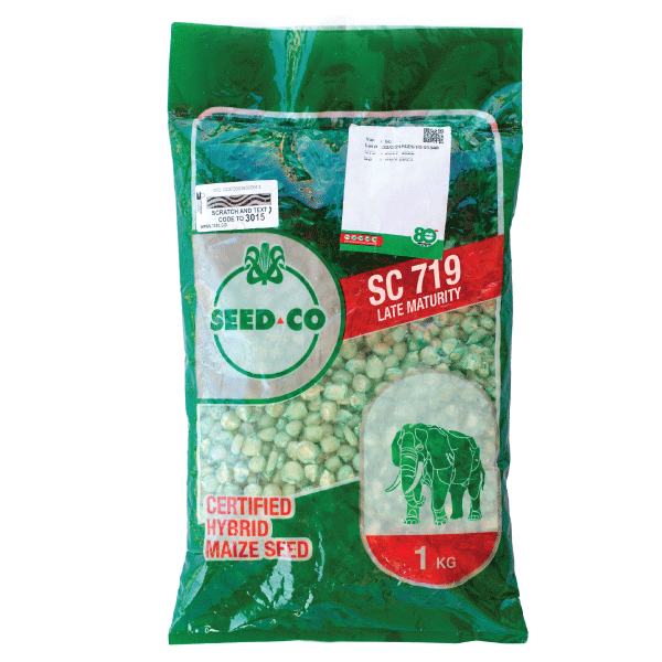 Certified Seeds - Hybrid Maize, Legumes and Vegetable Seeds